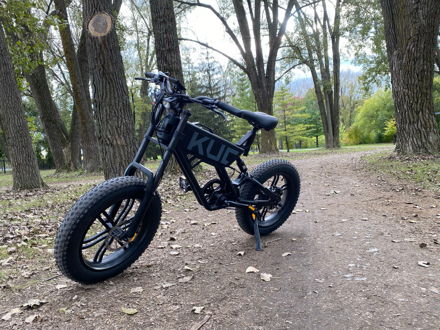 KUGOO T01 ELECTRIC BICYCLE