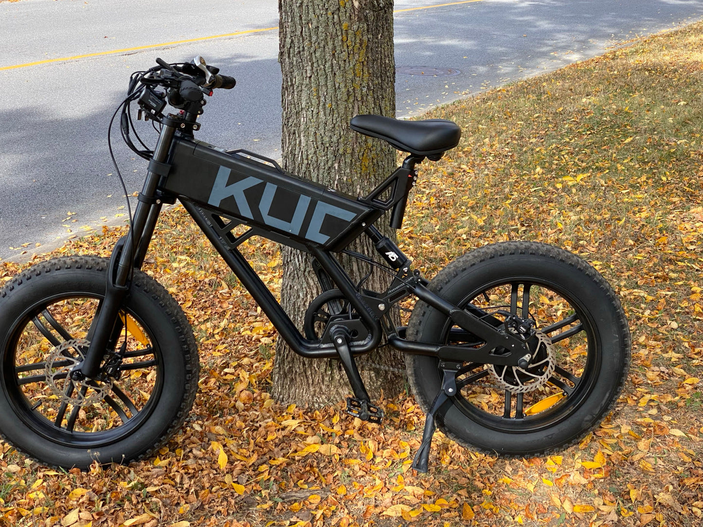 KUGOO T01 ELECTRIC BICYCLE