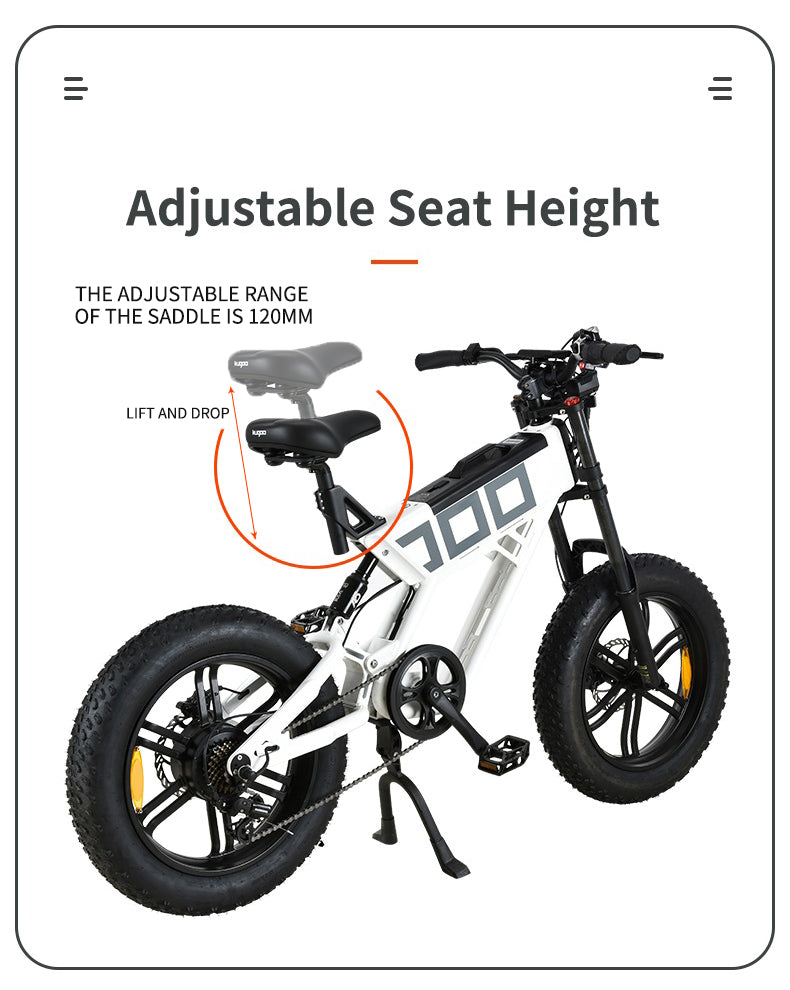 KUGOO T01 ELECTRIC BICYCLE