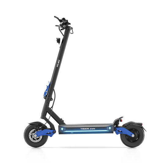 Hiley Tiger EVO